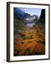 Deciduous Beech on Tasmania's West Coast Range, Tasmania, Australia-Rob Blakers-Framed Photographic Print