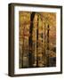 Deciduous Forest in Autumn-James Randklev-Framed Photographic Print