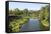 Deciduous Forest in River Sakmara Valley-Andrey Zvoznikov-Framed Stretched Canvas