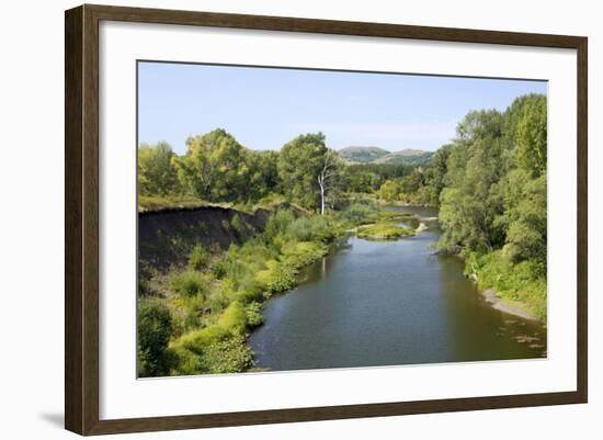 Deciduous Forest in River Sakmara Valley-Andrey Zvoznikov-Framed Photographic Print