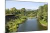 Deciduous Forest in River Sakmara Valley-Andrey Zvoznikov-Mounted Photographic Print