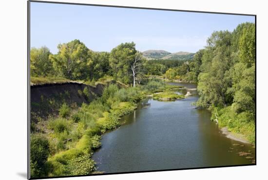 Deciduous Forest in River Sakmara Valley-Andrey Zvoznikov-Mounted Photographic Print
