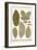 Deciduous Leaves from Various Plants-Albertus Seba-Framed Art Print