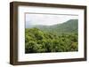 Deciduous Mediterranean Forest Clothing Hilly Landscape-Nick Upton-Framed Photographic Print