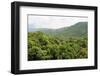 Deciduous Mediterranean Forest Clothing Hilly Landscape-Nick Upton-Framed Photographic Print