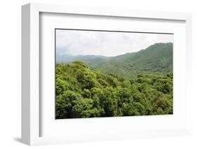 Deciduous Mediterranean Forest Clothing Hilly Landscape-Nick Upton-Framed Photographic Print