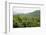 Deciduous Mediterranean Forest Clothing Hilly Landscape-Nick Upton-Framed Photographic Print