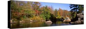 Deciduous Trees along Moose River, Adirondack Mountains, Adirondack State Park, New York, USA-null-Stretched Canvas
