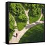 Decision Paths, Conceptual Image-SMETEK-Framed Stretched Canvas