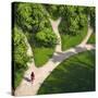 Decision Paths, Conceptual Image-SMETEK-Stretched Canvas