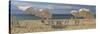 Deck Chairs and Beach Umbrellas on the Beach, Jetties Beach, Nantucket, Massachusetts, USA-null-Stretched Canvas