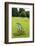 Deck Chairs in St. James Park-Massimo Borchi-Framed Photographic Print