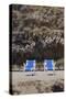 Deck Chairs-Toula Mavridou-Messer-Stretched Canvas