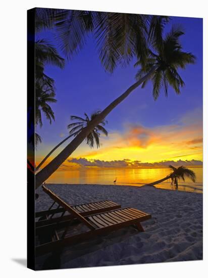 Deckchair on Tropical Beach by Palm Tree at Dusk and Blue Heron, Maldives, Indian Ocean-Papadopoulos Sakis-Stretched Canvas