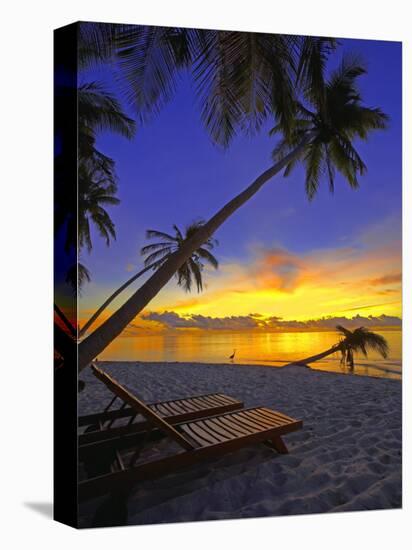 Deckchair on Tropical Beach by Palm Tree at Dusk and Blue Heron, Maldives, Indian Ocean-Papadopoulos Sakis-Stretched Canvas