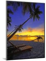 Deckchair on Tropical Beach by Palm Tree at Dusk and Blue Heron, Maldives, Indian Ocean-Papadopoulos Sakis-Mounted Photographic Print