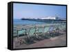 Deckchairs Above the Beach and the Palace Pier at Brighton, Sussex, England, United Kingdom, Europe-Rainford Roy-Framed Stretched Canvas