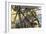 Deckhands in Action on the USS "Constitution" Against the "Levant and Cyane," War of 1812-null-Framed Giclee Print