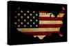 Declaration of Independence Grunge America Map Flag-Veneratio-Stretched Canvas