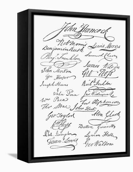 Declaration: Signatures-null-Framed Stretched Canvas