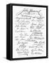 Declaration: Signatures-null-Framed Stretched Canvas