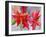 Decmber Delight-Neela Pushparaj-Framed Giclee Print