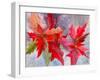 Decmber Delight-Neela Pushparaj-Framed Giclee Print