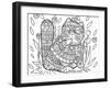 Deco Cat-Oxana Zaika-Framed Giclee Print