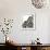 Deco Shine-Alan Lambert-Framed Giclee Print displayed on a wall