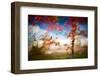 Deconstructed Fall 1-Ursula Abresch-Framed Photographic Print