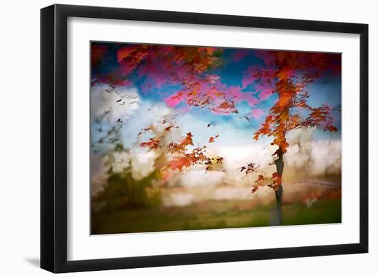 Deconstructed Fall 1-Ursula Abresch-Framed Photographic Print