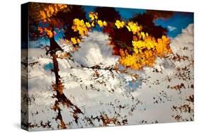Deconstructed Fall 2-Ursula Abresch-Stretched Canvas