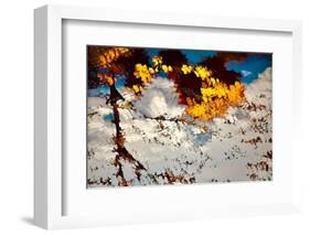 Deconstructed Fall 2-Ursula Abresch-Framed Photographic Print