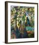 Decor of Flowers-Gérard Castonguay-Framed Art Print