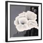 Decora II-Jettie Roseboom-Framed Art Print