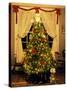 Decorated Christmas Tree Displays in Window, Oregon, USA-Steve Terrill-Stretched Canvas