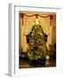 Decorated Christmas Tree Displays in Window, Oregon, USA-Steve Terrill-Framed Photographic Print