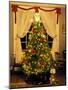 Decorated Christmas Tree Displays in Window, Oregon, USA-Steve Terrill-Mounted Photographic Print