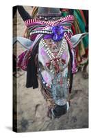 Decorated Cow, Goa, India, Asia-Yadid Levy-Stretched Canvas