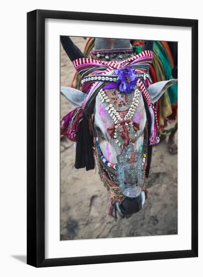 Decorated Cow, Goa, India, Asia-Yadid Levy-Framed Photographic Print