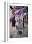 Decorated Cow, Goa, India, Asia-Yadid Levy-Framed Photographic Print