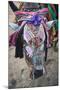 Decorated Cow, Goa, India, Asia-Yadid Levy-Mounted Photographic Print