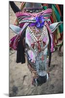 Decorated Cow, Goa, India, Asia-Yadid Levy-Mounted Photographic Print