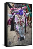 Decorated Cow, Goa, India, Asia-Yadid Levy-Framed Stretched Canvas