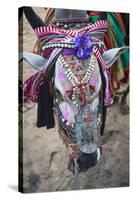 Decorated Cow, Goa, India, Asia-Yadid Levy-Stretched Canvas