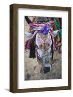 Decorated Cow, Goa, India, Asia-Yadid Levy-Framed Photographic Print