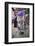 Decorated Cow, Goa, India, Asia-Yadid Levy-Framed Photographic Print