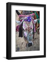 Decorated Cow, Goa, India, Asia-Yadid Levy-Framed Photographic Print