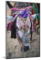 Decorated Cow, Goa, India, Asia-Yadid Levy-Mounted Photographic Print