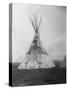 Decorated Crow Tepee-null-Stretched Canvas